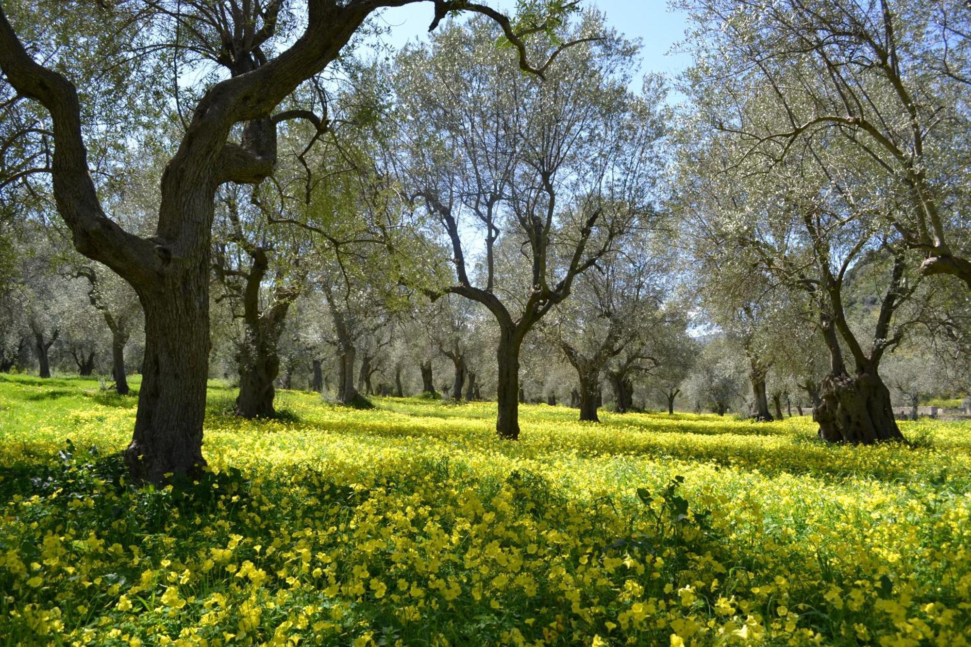 Amica Agriturismo Malena מראה חיצוני תמונה