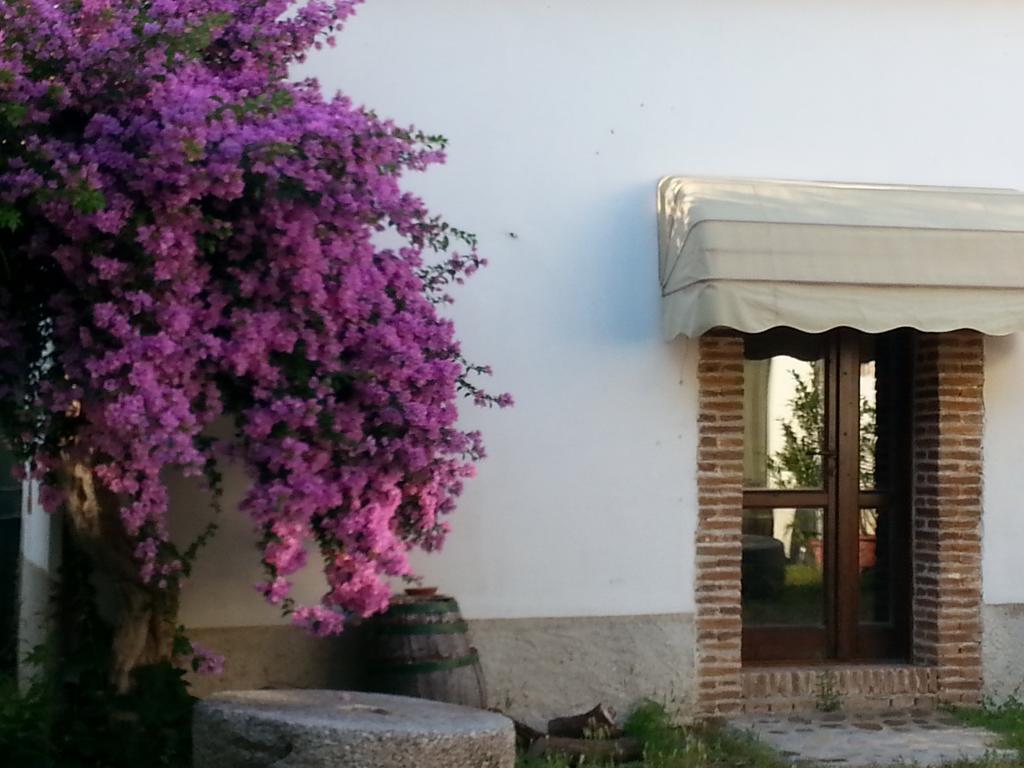 Amica Agriturismo Malena מראה חיצוני תמונה